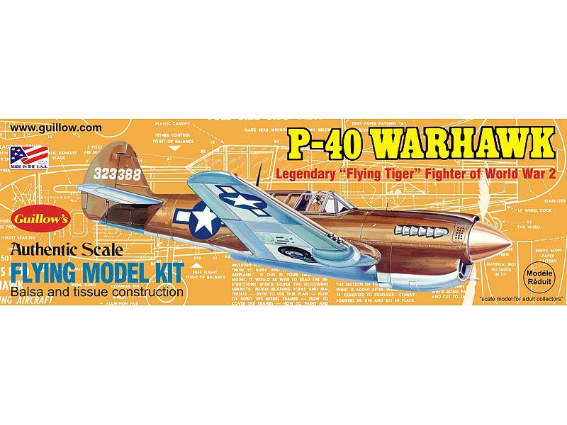 Curtiss P40 Warhawk - Excel RC