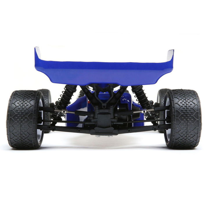 Losi Mini-B Brushed RTR 1/16 2WD Buggy Blue/White - Excel RC