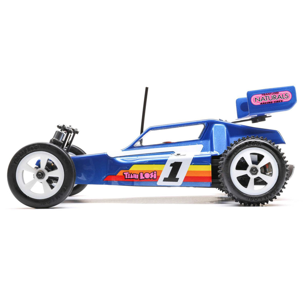 Losi 1/16 Mini JRX2 2WD Buggy Brushed RTR